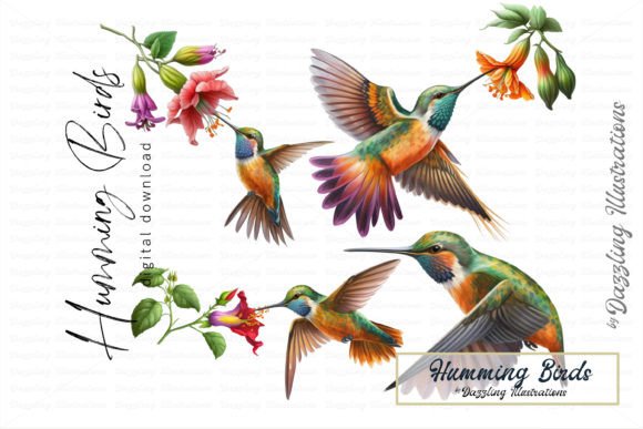 Download Beautiful Hummingbird and Flower Set - Hummingbird Collection