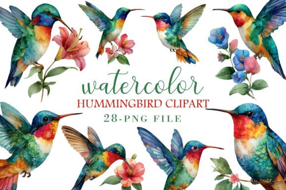 Download Watercolor Hummingbird Clipart - Hummingbird Collection