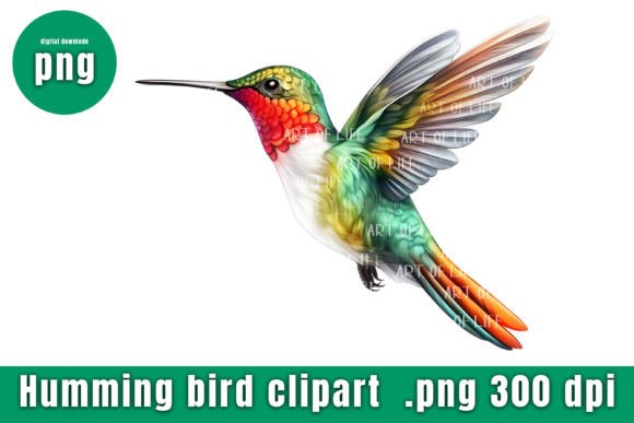 Download Illustrations Hummingbird - Premium Resources